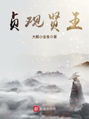 貞觀賢王 小說封面，作者：大眼小金魚