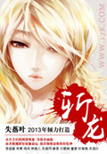斬龍 小說封面，作者：失落葉