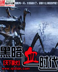黑暗血時代 小說封面，作者：天下飄火