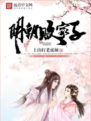 明朝敗家子 小說封面，作者：上山打老虎額