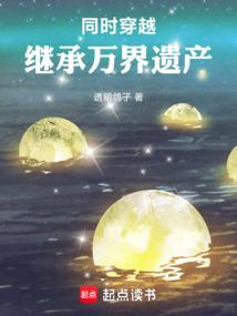 同時穿越繼承萬界遺產 小說封面，作者：透明鴿子