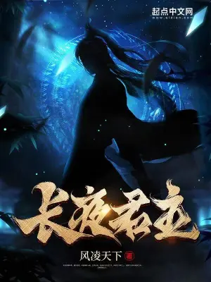 長夜君主 小說封面，作者：風凌天下