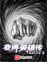 賽博英雄傳 小說封面，作者：吾道長不孤